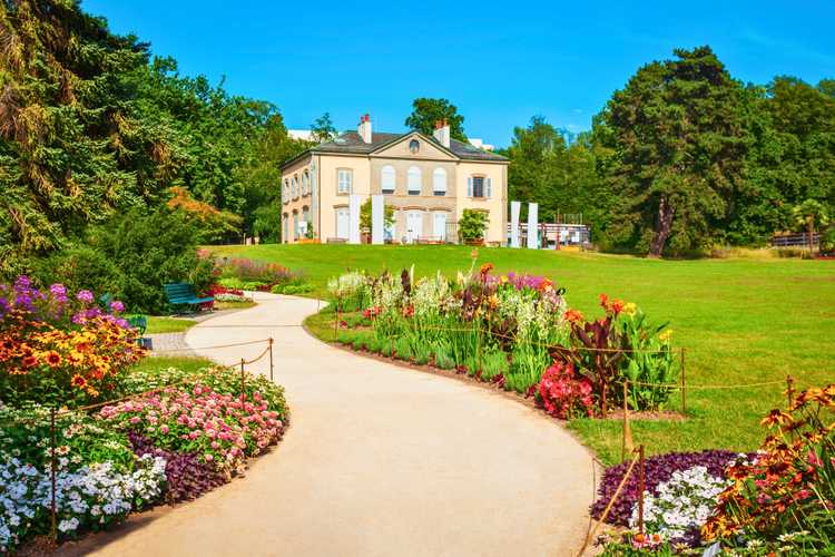 Découvrez Genève avec des visites en bus hop-on hop-off officielles – Itinéraires flexibles, monuments emblématiques et vues panoramiques en 2026